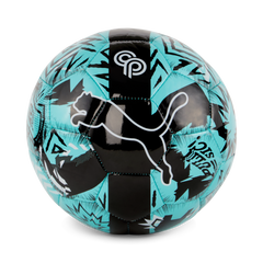 PUMA CP 10 Graphic Ball Blue