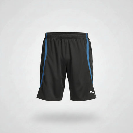 PUMA v.11 Training Shorts