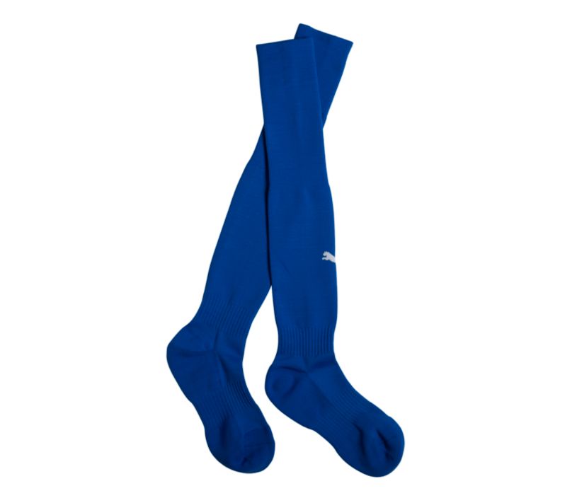 PUMA Team Sock