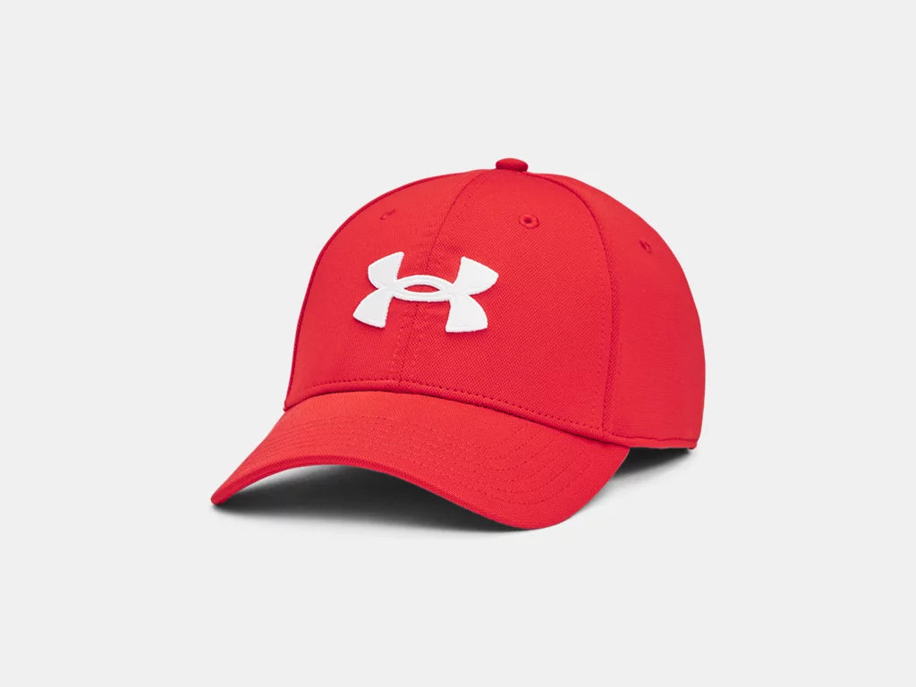Under Armour Mens Blitzing Low Cap
