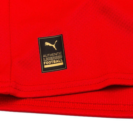 PUMA Men's Austria Home Jersey 22 - Red/White