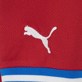 PUMA Men's Czech Republic Home Jersey 22 - Red/White