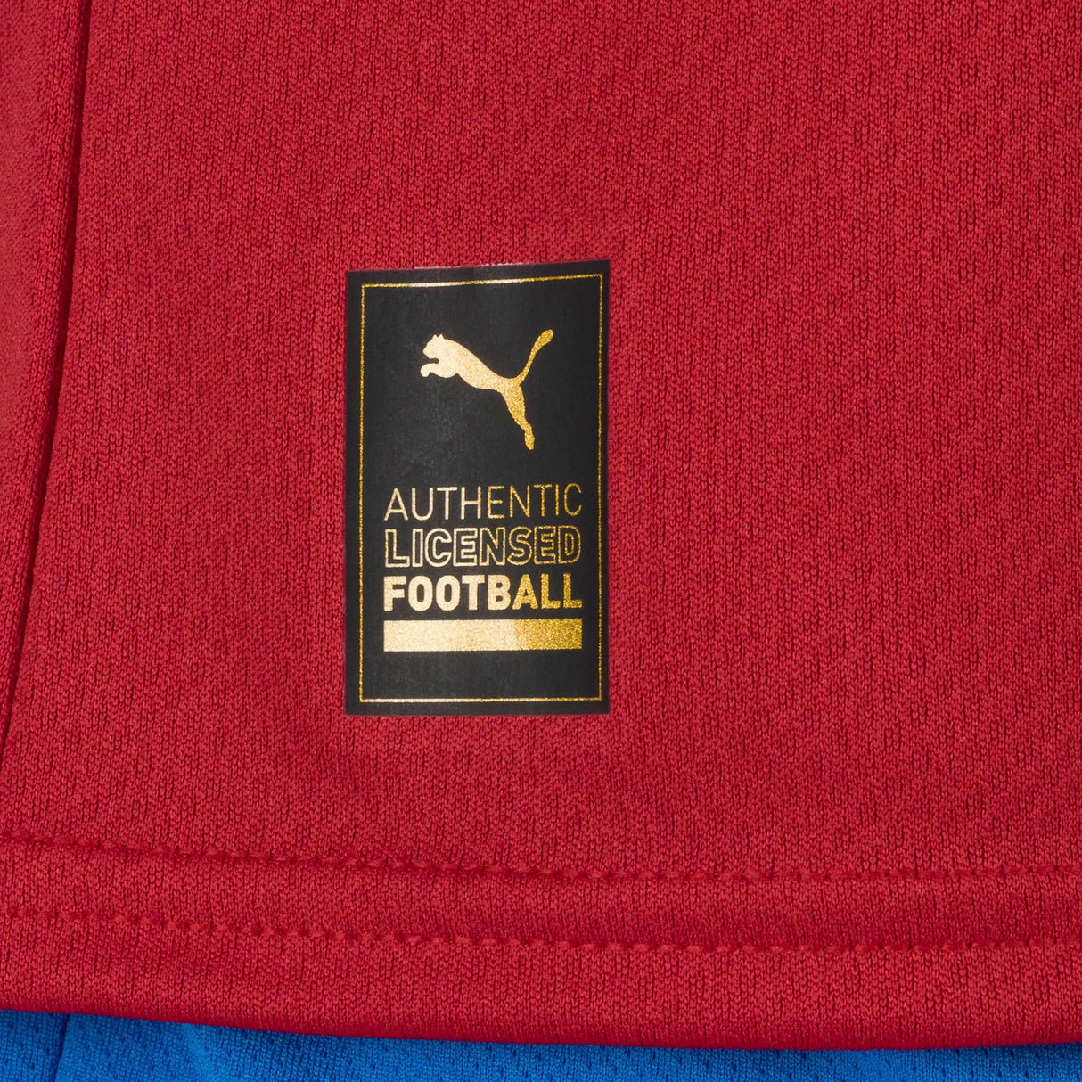 PUMA Men's Czech Republic Home Jersey 22 - Red/White