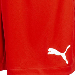 PUMA JR TeamFinal 21 Knit Short