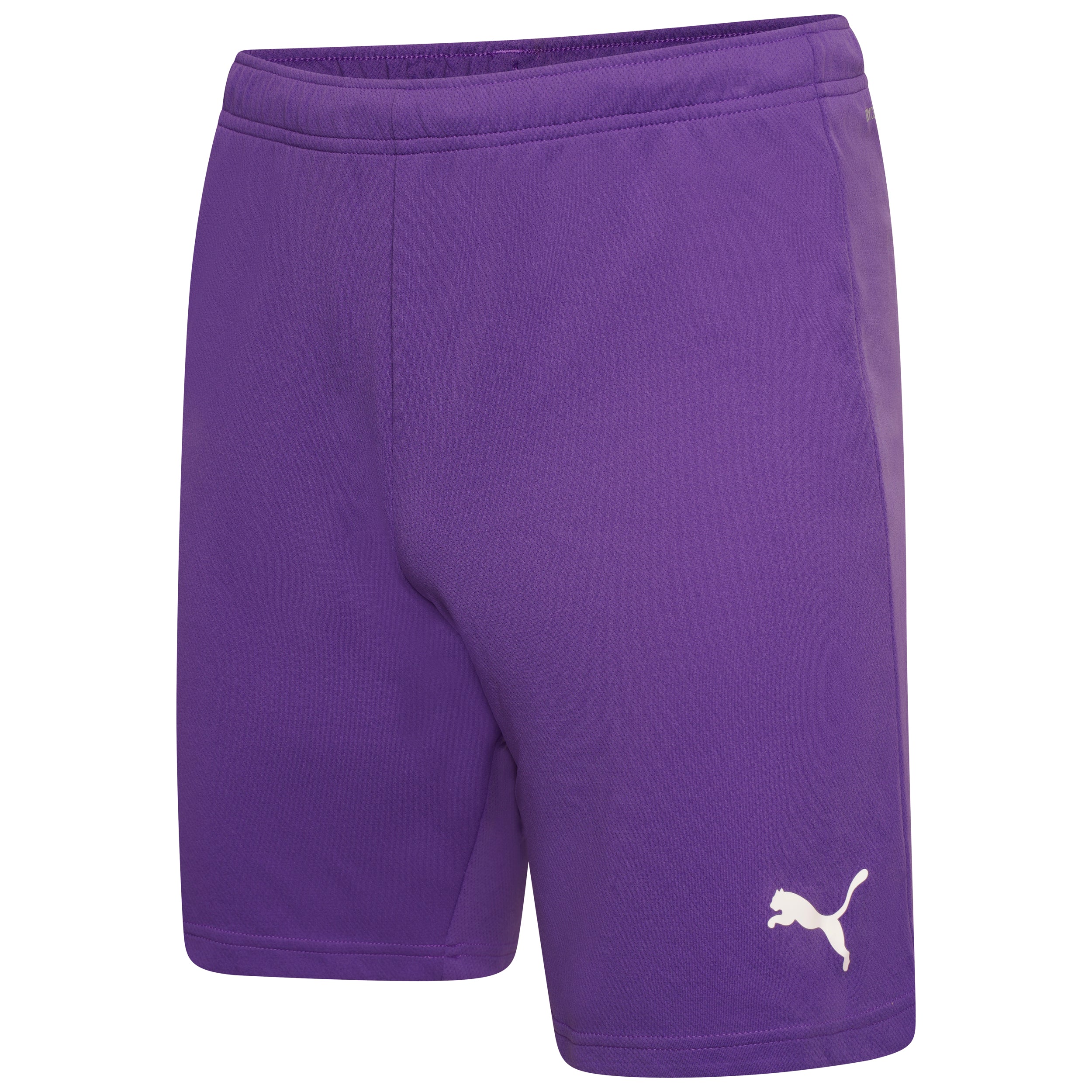 PUMA Team Rise Shorts Youth