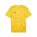 PUMA Teamultimate Jersey