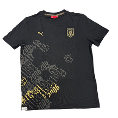PUMA Italy Nazionale Graphic Tee