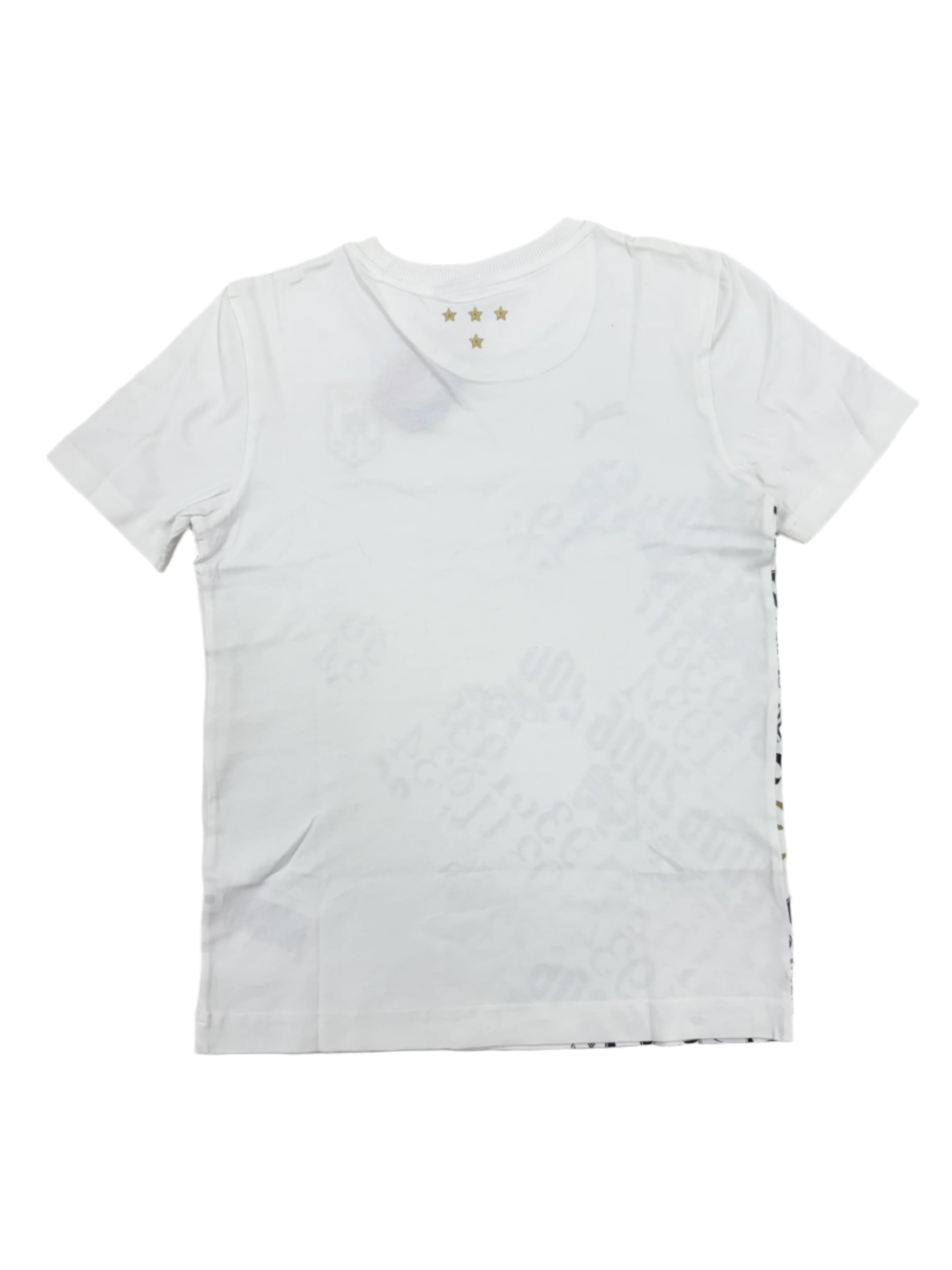PUMA Italy Nazionale Graphic Tee