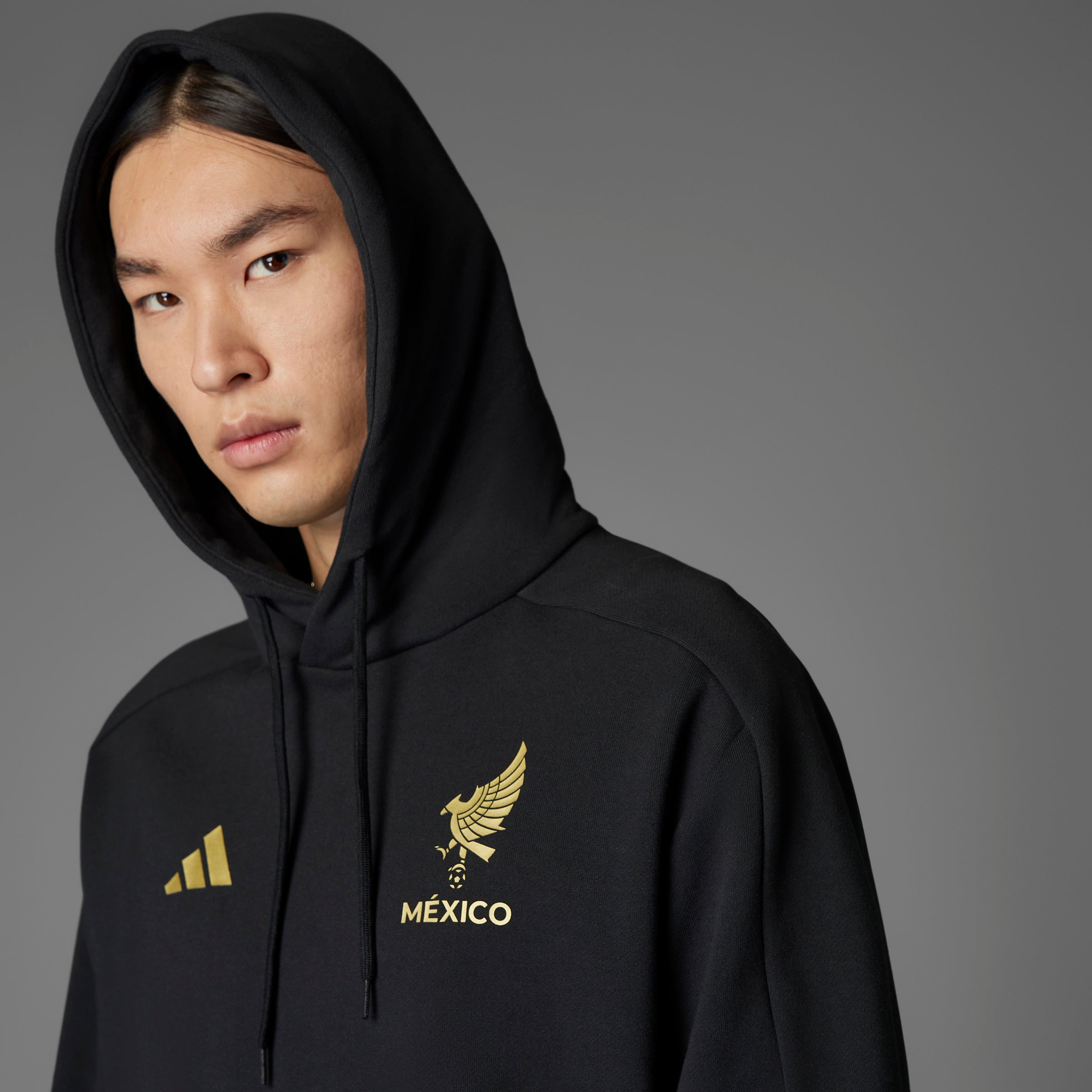 Mexico Gold DNA Hoodie Black
