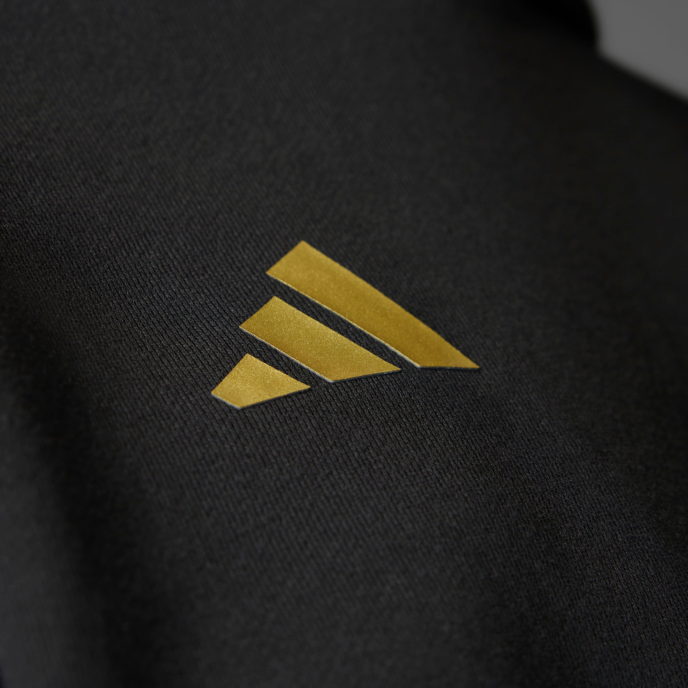 Mexico Gold DNA Hoodie Black