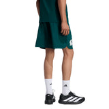 adidas Mexico Tiro Travel Men's Soccer Shorts - Green