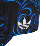 adidas Argentina Away Graphic Baseball Soccer Cap 2026
