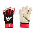 Goalkeeper Gloves