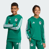 adidas Mexico DNA Youth Soccer Hoodie - Green