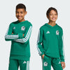 adidas Mexico DNA Youth Soccer Hoodie - Green