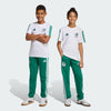 adidas Mexico DNA Youth Soccer Tracksuit Bottoms - Green
