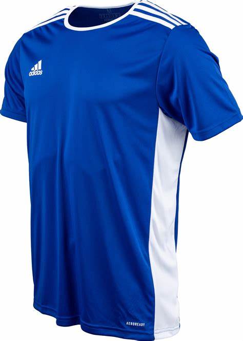 adidas Entrada 18 Jersey