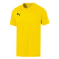P Liga Jersey Core Cyber Amarillo