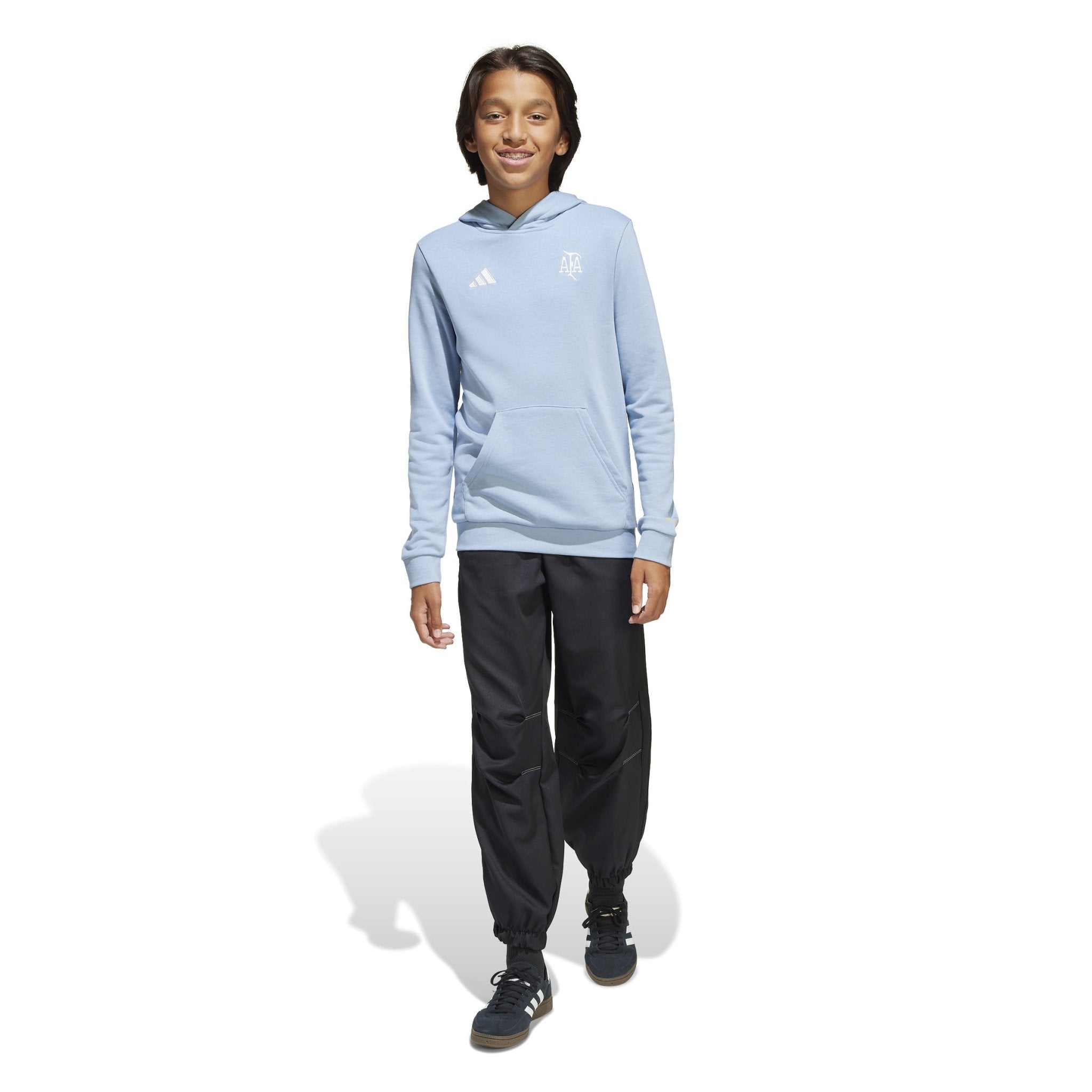 adidas Argentina Anniversary DNA Hoodie Sky/White - Best Buy Soccer