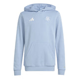 adidas Argentina Anniversary DNA Hoodie Sky/White - Best Buy Soccer