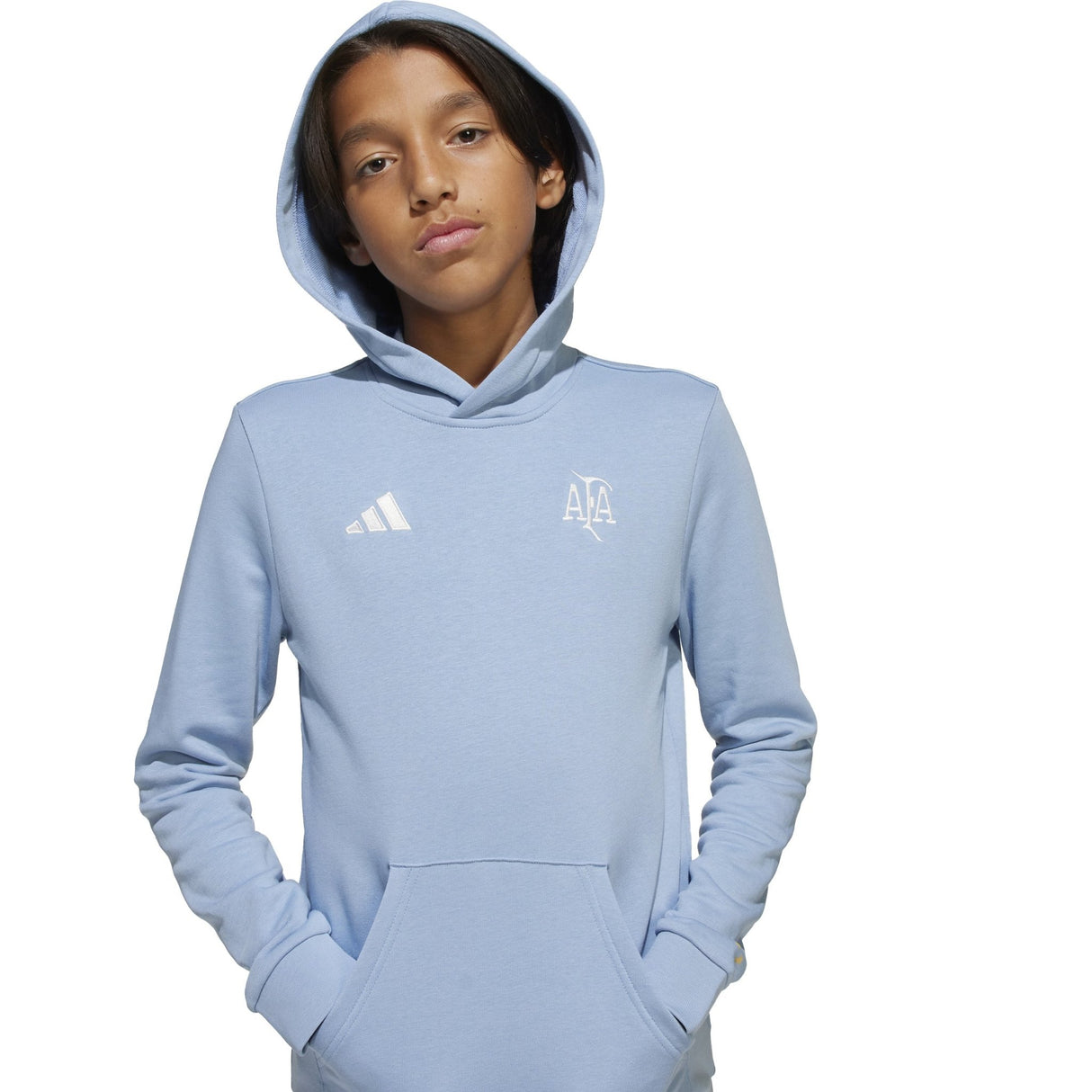 adidas Argentina Anniversary DNA Hoodie Sky/White - Best Buy Soccer