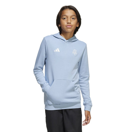 adidas Argentina Anniversary DNA Hoodie Sky/White - Best Buy Soccer