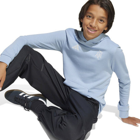 adidas Argentina Anniversary DNA Hoodie Sky/White - Best Buy Soccer