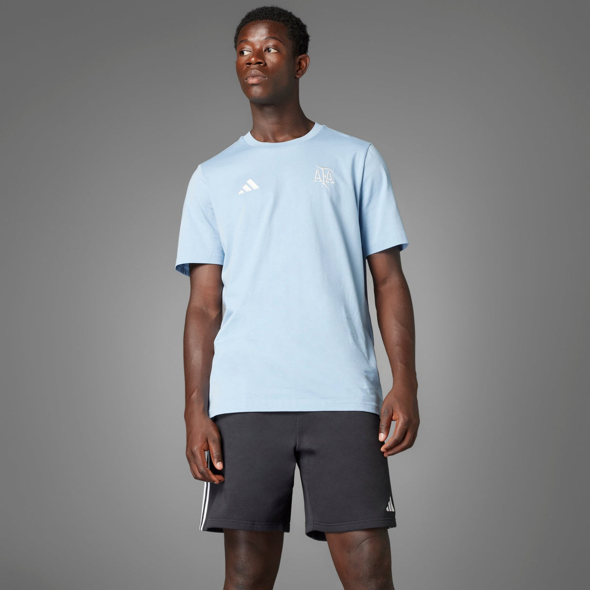 adidas Argentina Anniversary DNA T-Shirt Sky/White - Best Buy Soccer