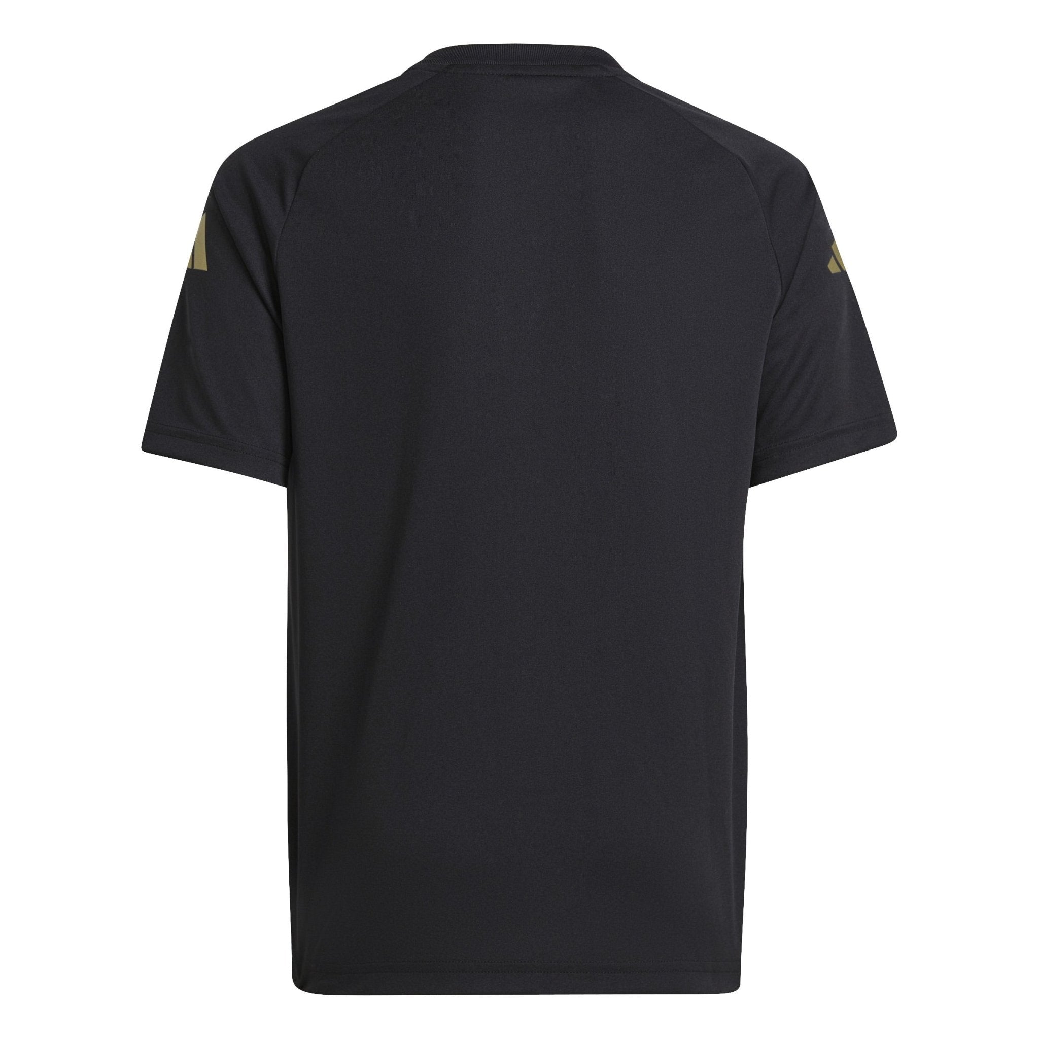 adidas Argentina Pre Match Jersey 24 Youth - Best Buy Soccer
