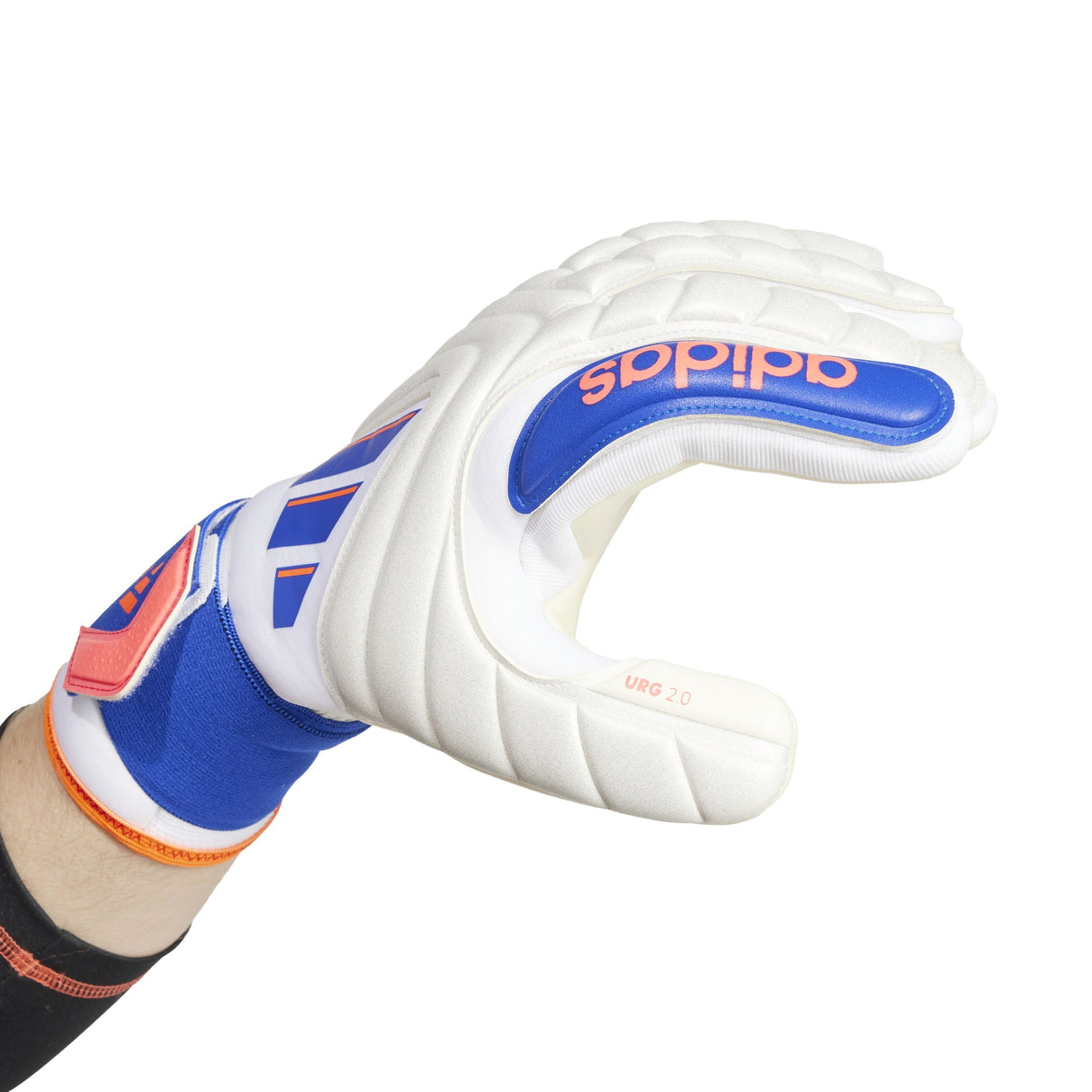 adidas Copa Gloves Pro Goalkeeper - Best Buy Soccer