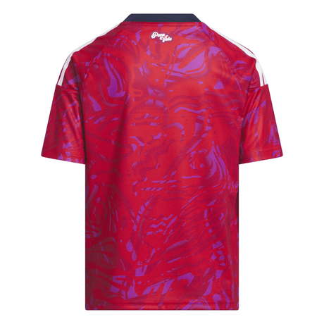 adidas Costa Rica Home Youth Soccer Jersey 26 - Red - Best Buy Soccer