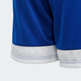 adidas Kid's Tastigo 19 Shorts - Best Buy Soccer