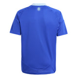 adidas Youth Argentina Away Jersey 2024 - Best Buy Soccer