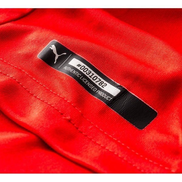 PUMA Switzerland Home Jersey 2014 Red