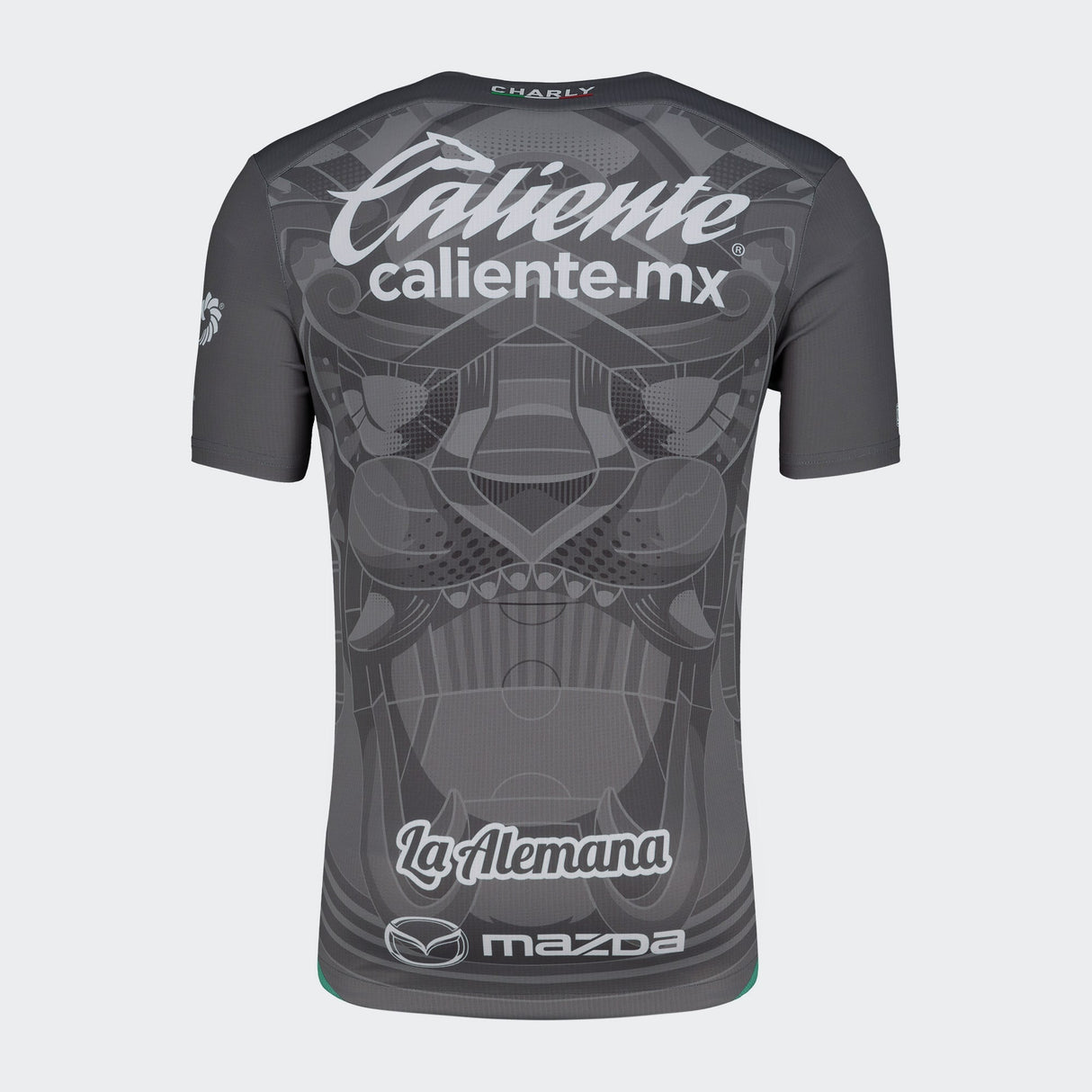 Charly Men's Leon Third Jersey Authentic 24/25 Grey - Best Buy Soccer