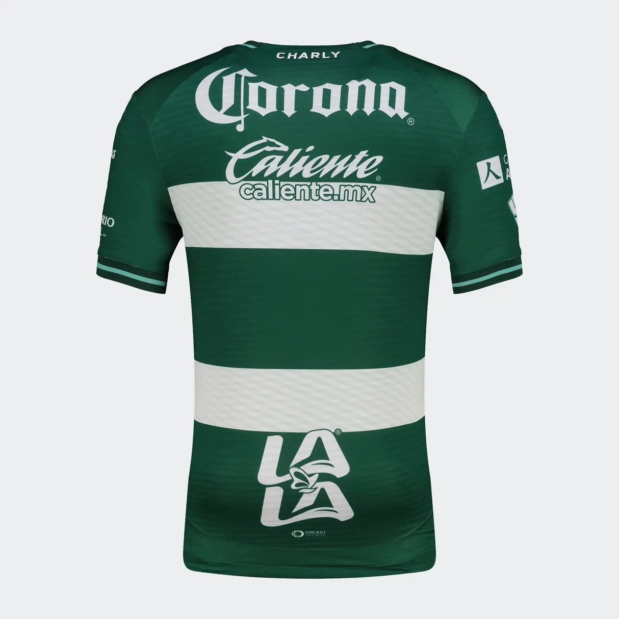 Charly Santos Home Men's Soccer Jersey 26/27 - Green - Best Buy Soccer