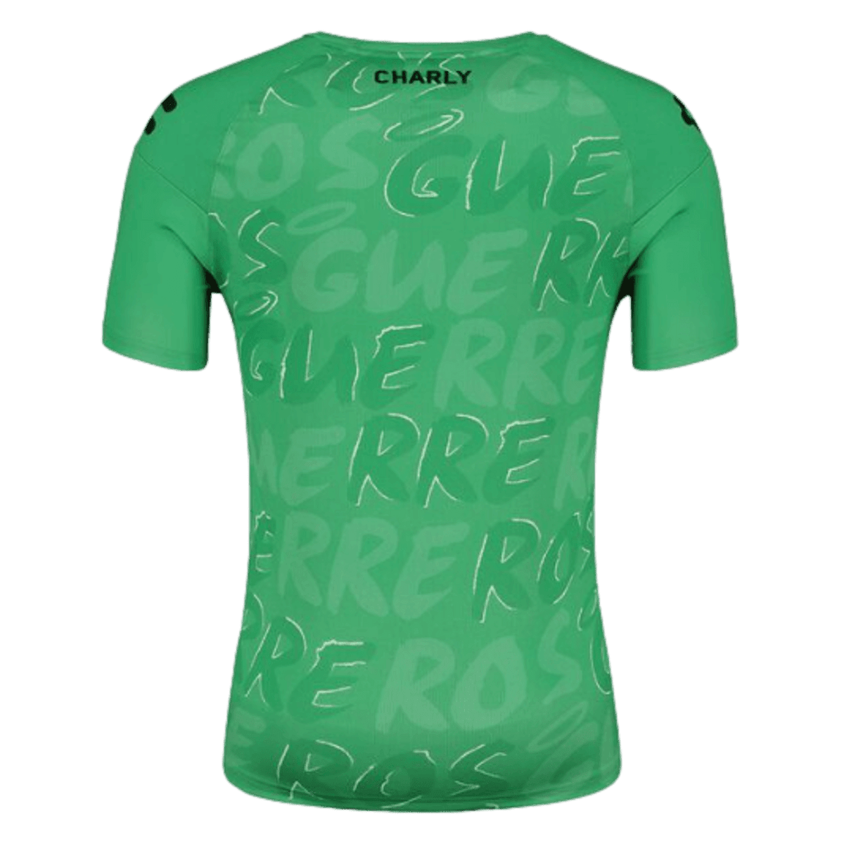 Charly Santos Player Training Tee - Green - Best Buy Soccer