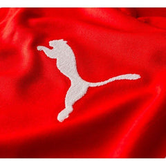 PUMA Switzerland Home Jersey 2014 Red