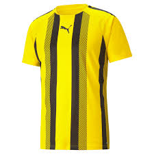 PUMA Team Liga 25 Stripe Jersey