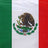 Mexico 3X5 flag - Best Buy Soccer