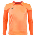Nike Dri Fit GK Park IV Goalkeeper Jersey - Best Buy Soccer
