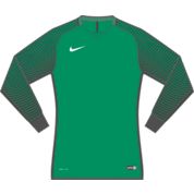 Nike Long Sleeve Gardien Women's Jersey Green - Best Buy Soccer