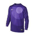 Nike LS Park IV Goalkeeper Jersey - Best Buy Soccer