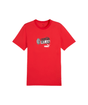 PUMA AC Milan Ftblnrgy Tee Red - Best Buy Soccer