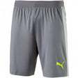 PUMA Evo Training Tech Shorts - Quiet Shade/Safety - Best Buy Soccer