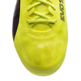 PUMA Evospeed 17 SL FG Firm Ground Soccer Cleats - Safety Yellow/Black/Green Gecko - Best Buy Soccer