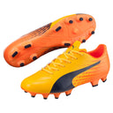PUMA Evospeed 17.4 FG Firm Ground Soccer Shoes - Best Buy Soccer