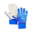 PUMA Future Match NC Goalkeeper Gloves - Best Buy Soccer