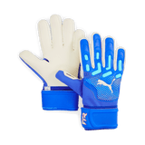 PUMA Future Match NC Goalkeeper Gloves - Best Buy Soccer