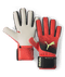 Guantes de portero PUMA Future Z Grip
